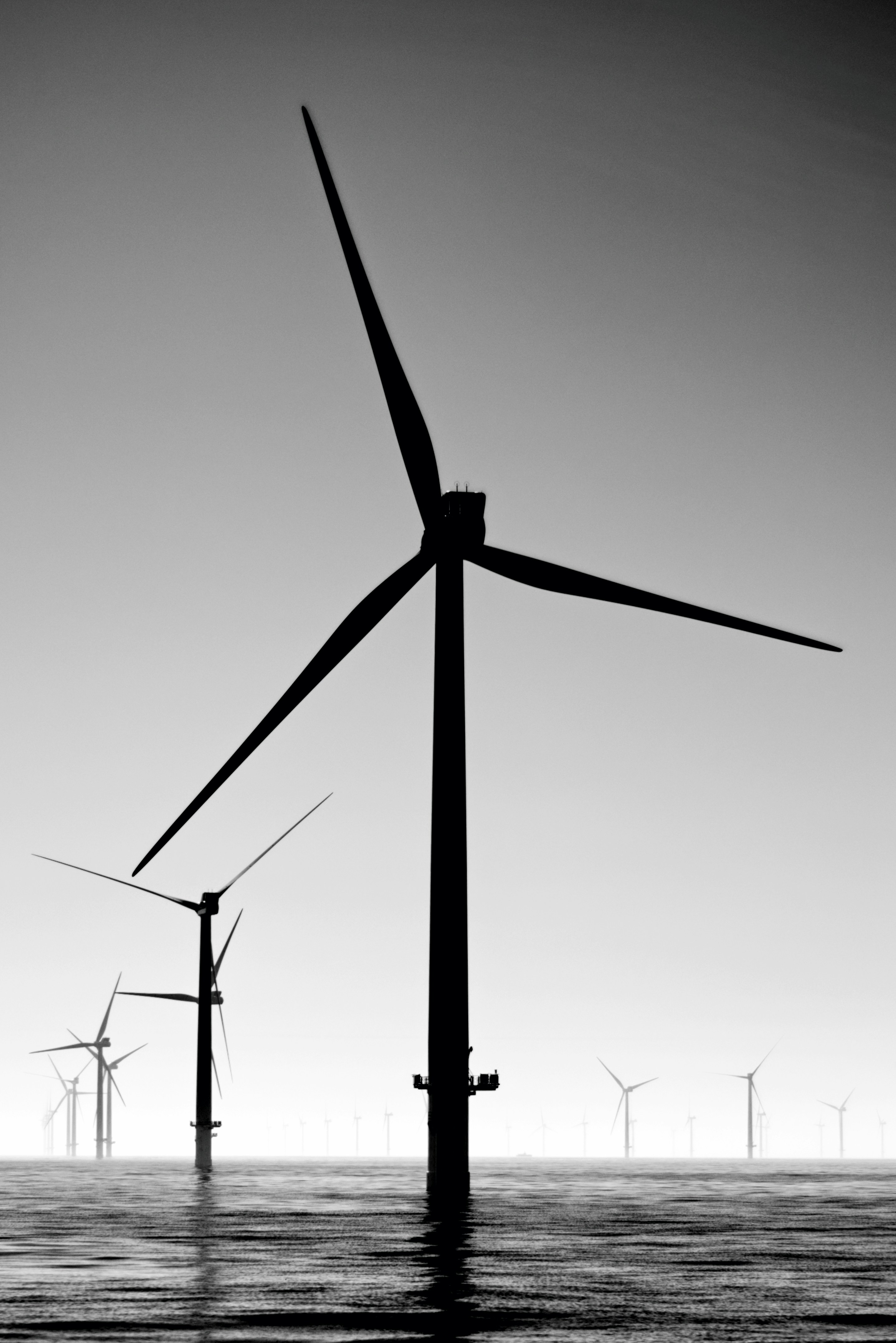 wind turbine